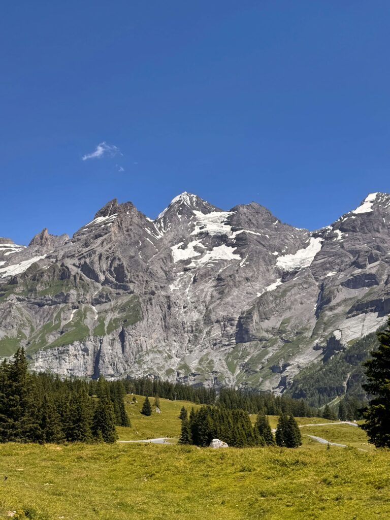 Resources Executive Summary (PDF)