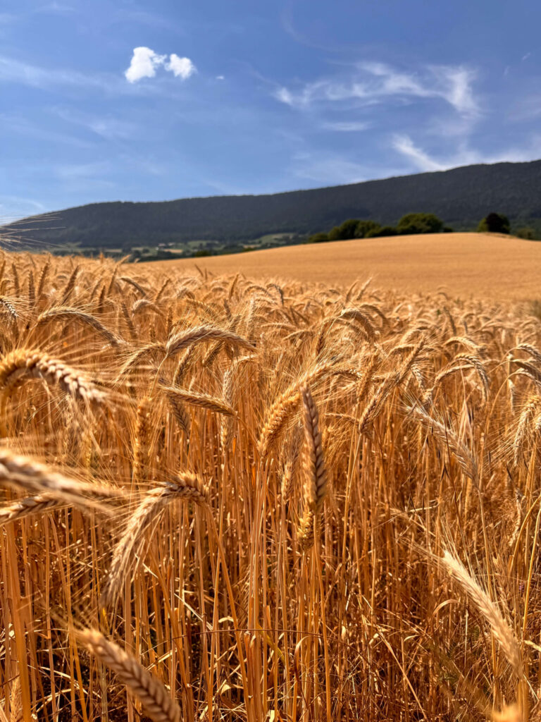 Radiance Framework Leadership Intensive