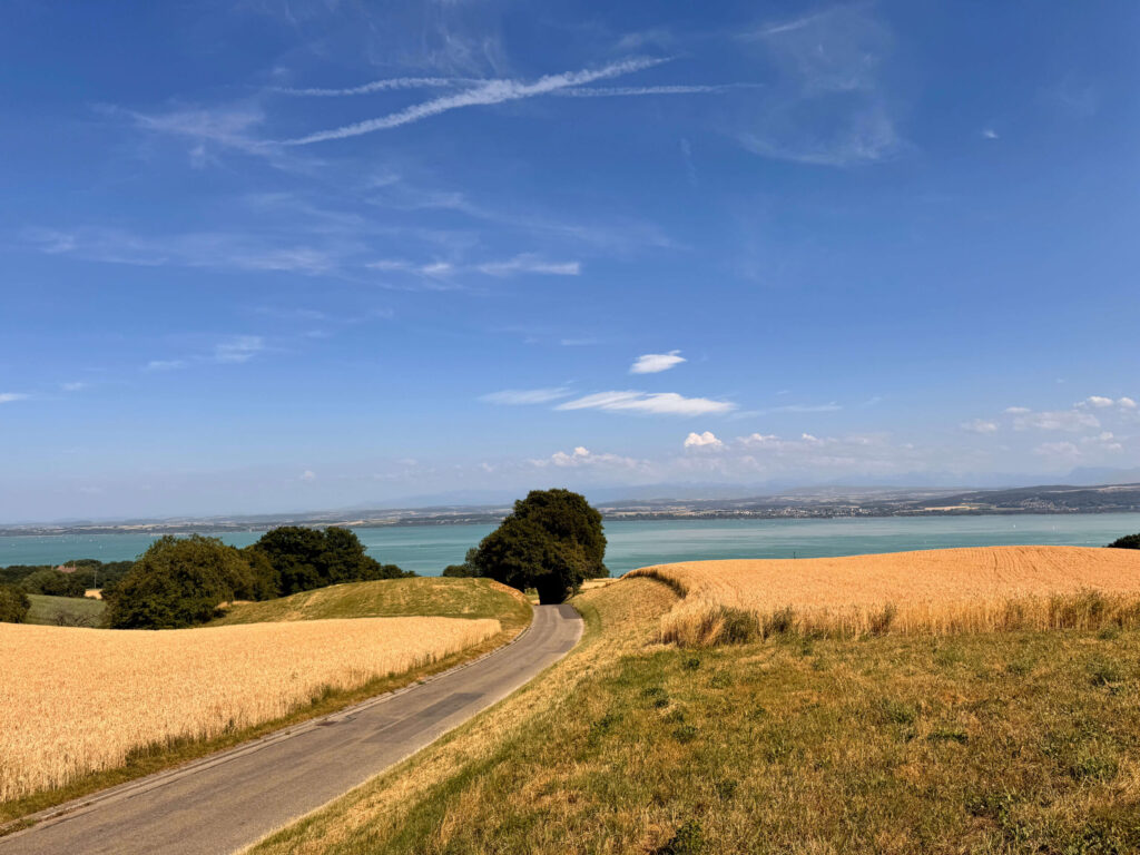 Culture Alignment Sprint