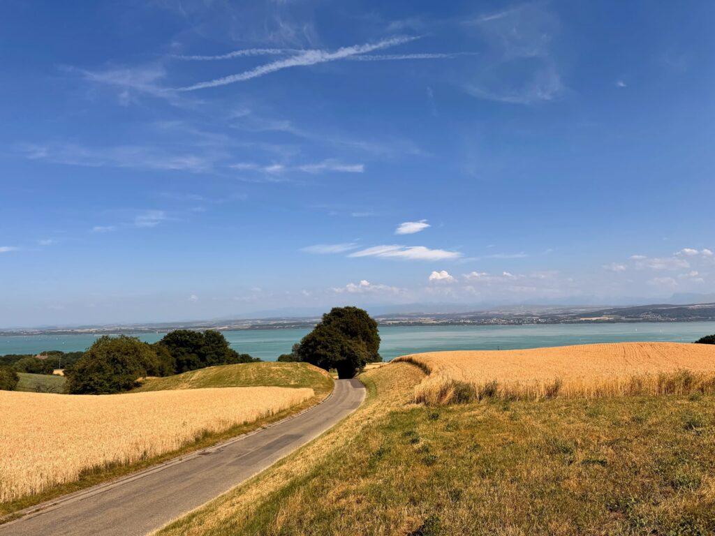 Resources Tools & Practices